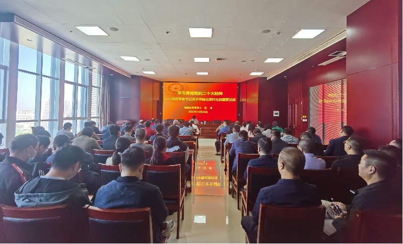 紧跟核心强忠诚 在深学细悟中坚定信仰信念 ——华体会·hth|官网入口-www.hth.com
负责人汪洋同志为全体党员讲授主题教育专题党课